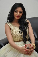 Sanam Shetty Photos at Srimanthudu Audio Release